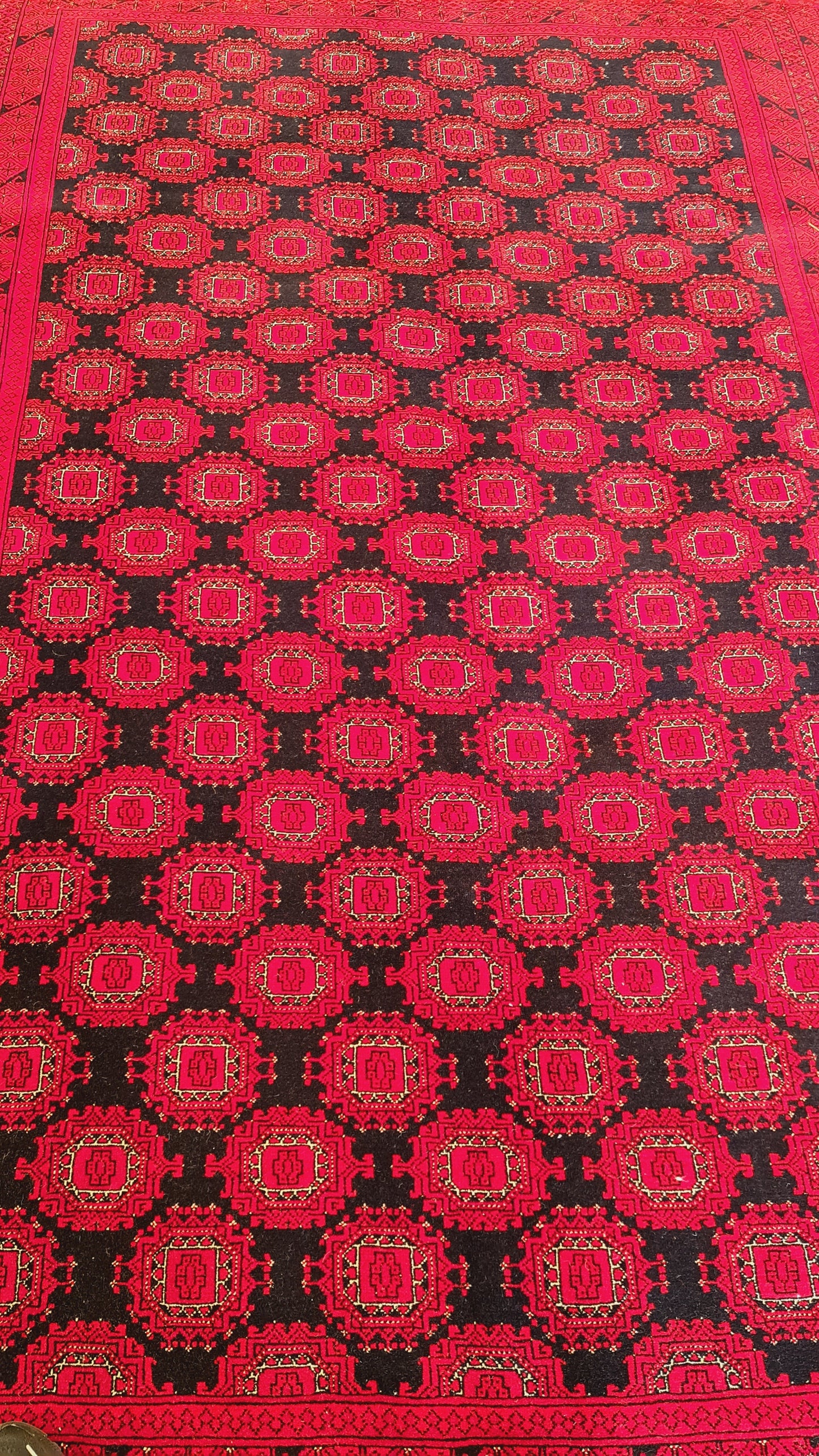Beautiful and Versatile Oriental Rug (200 x 300 cm) – Buy Persian Rugs Online Australia