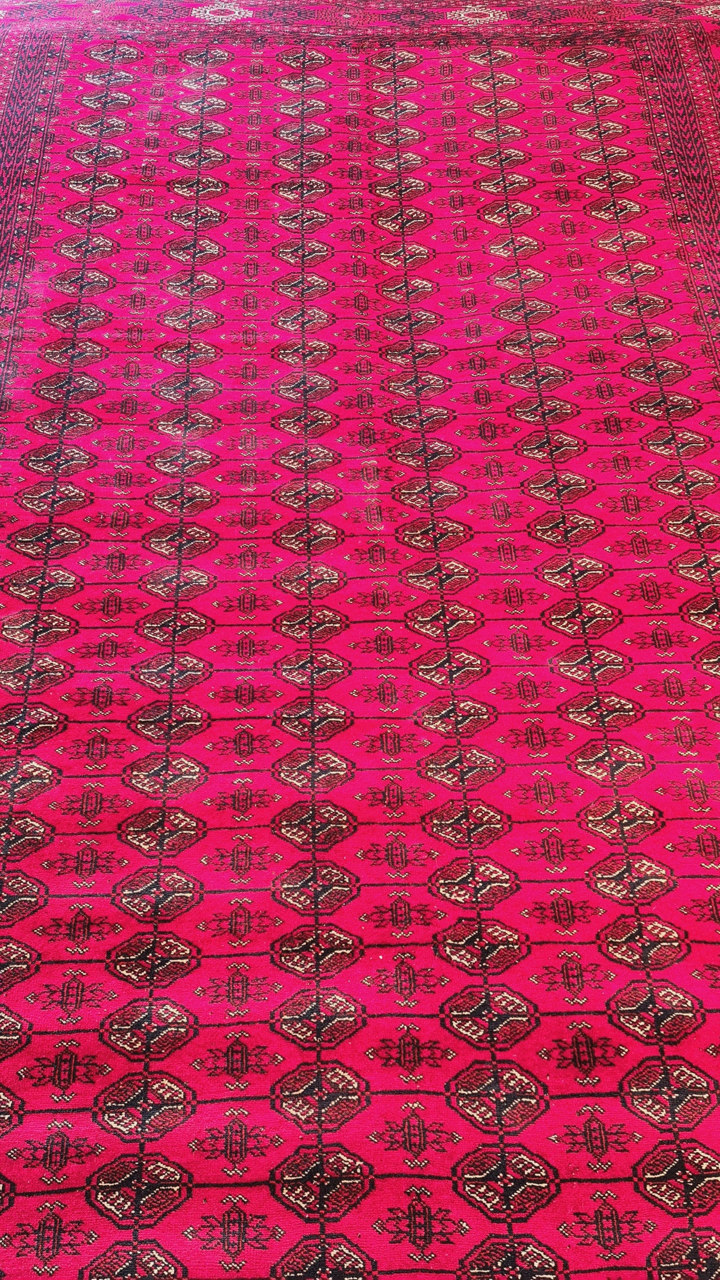 Fine design of Bukhara Rug (200 x 300 cm)
