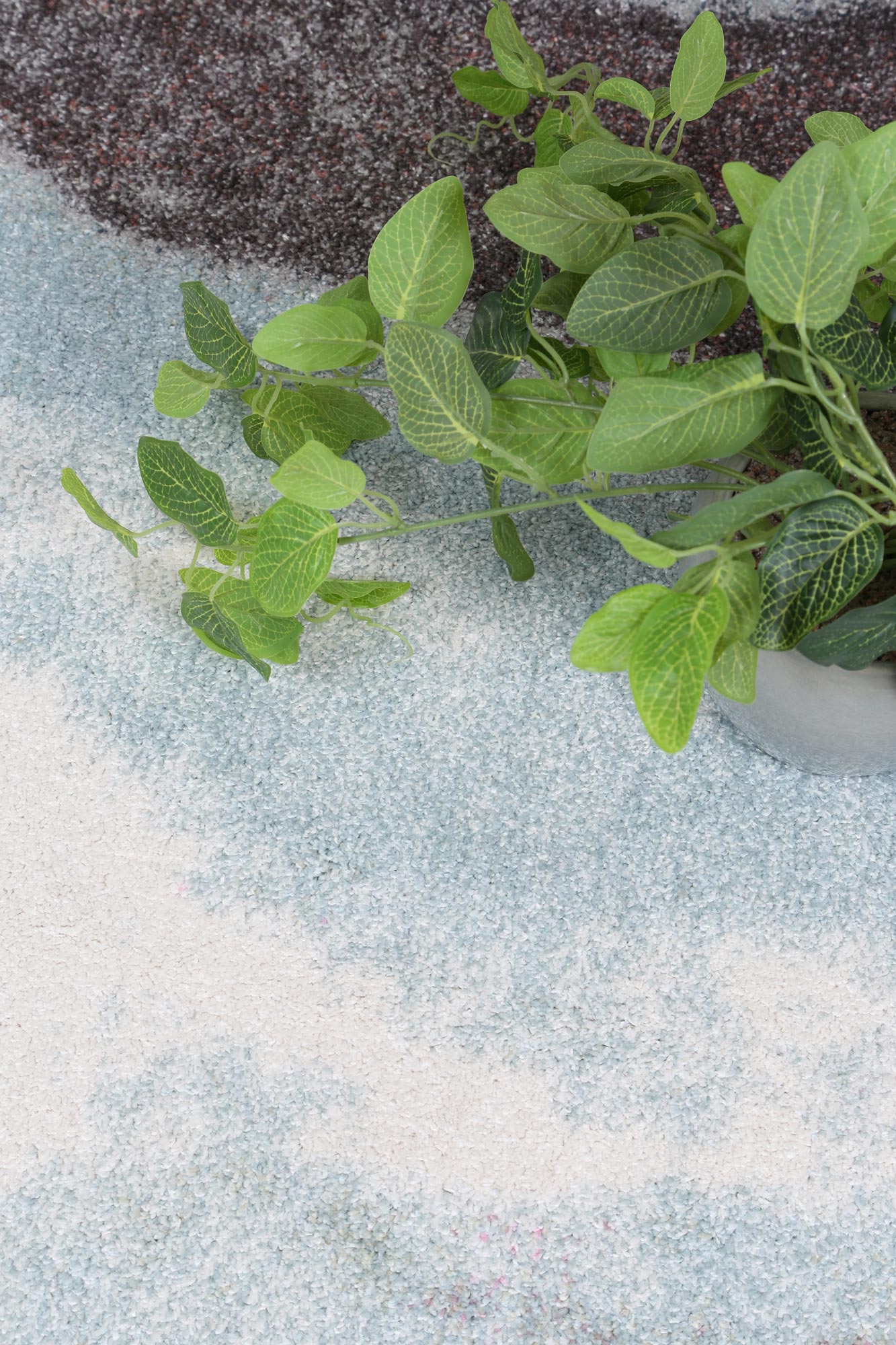 Saint Zia Water Art Multi Rug