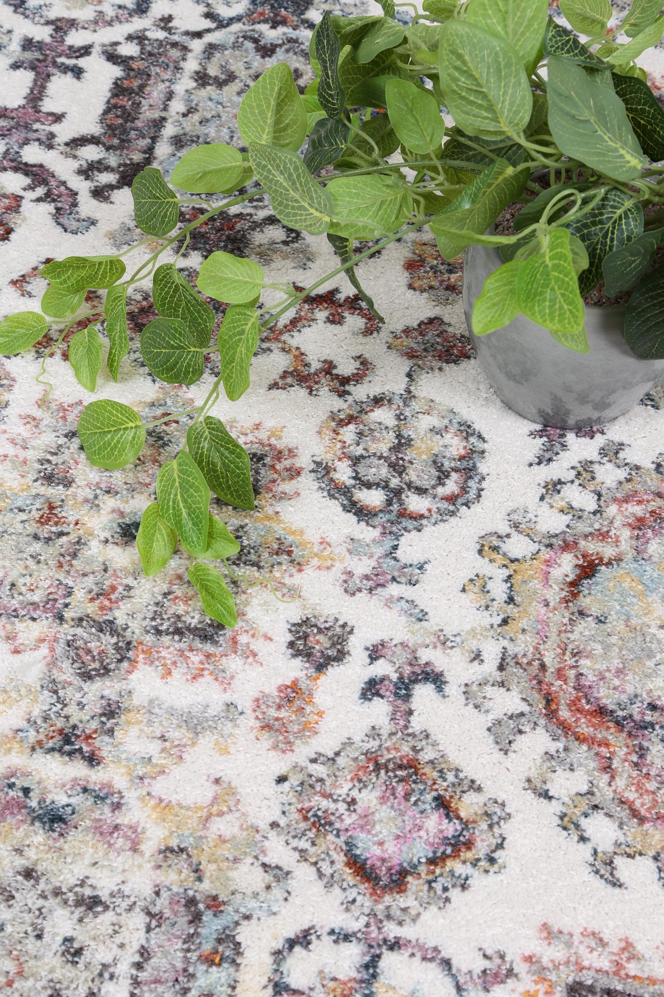 Saint Camino Border Cream Rug