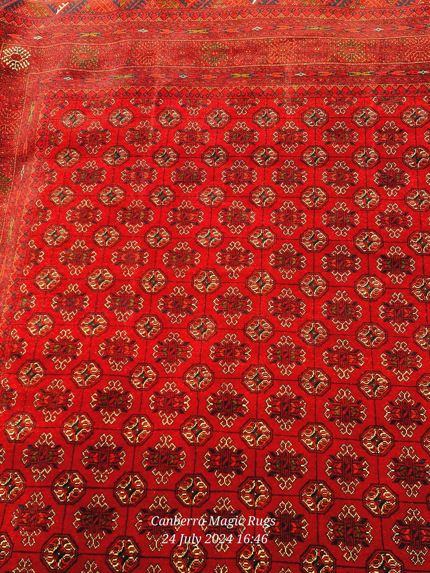 Bukhara Oriental Rug (165 X 255 CM) – Elegant Handmade Woven Rugs