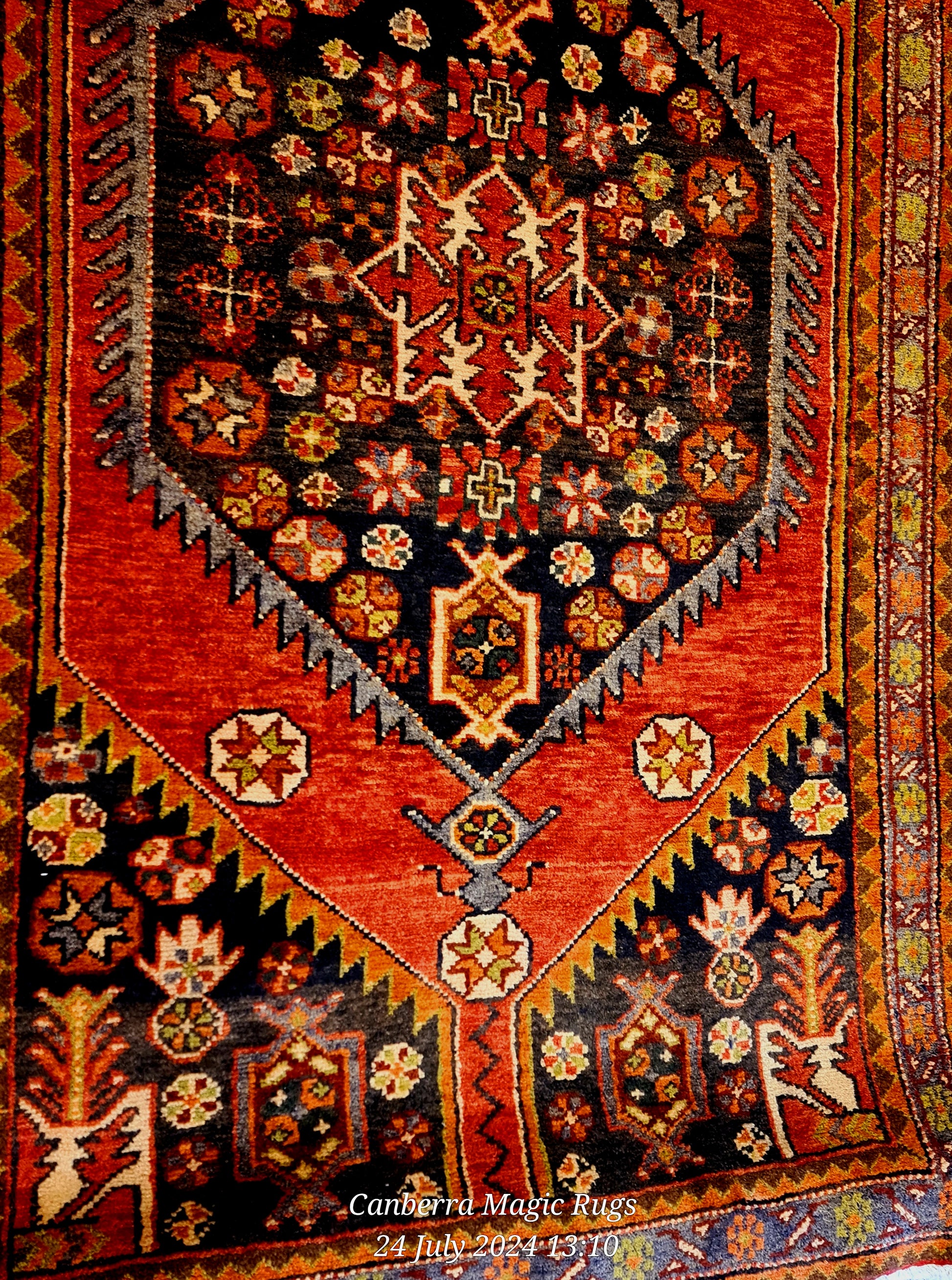 Shiraz Rugs Online