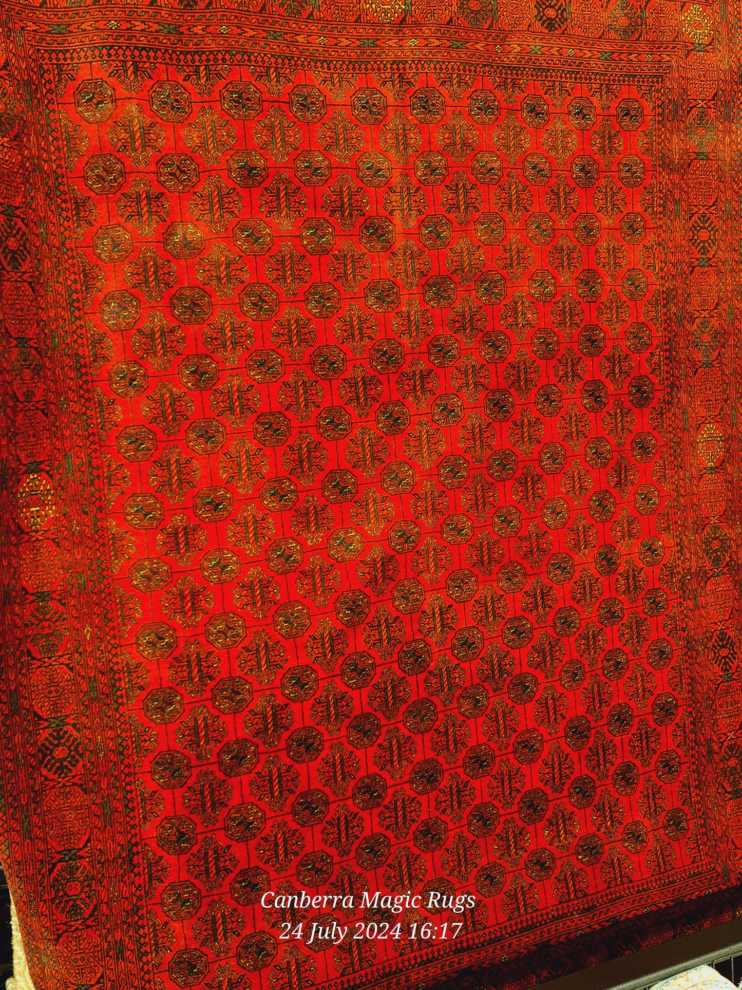 Medallion Design Traditional Rug Perfect for Contemporary & Classic Interiors (170 x 250 CM)