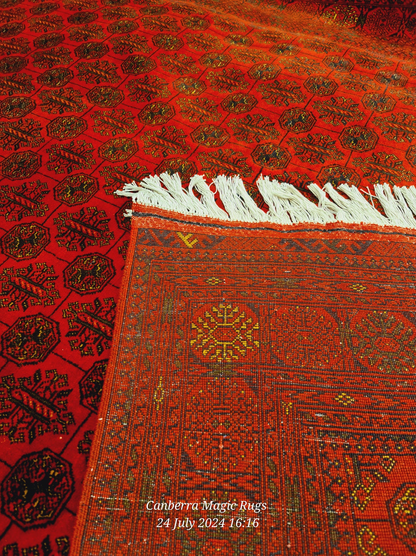 Medallion Design Traditional Rug Perfect for Contemporary & Classic Interiors (170 x 250 CM)