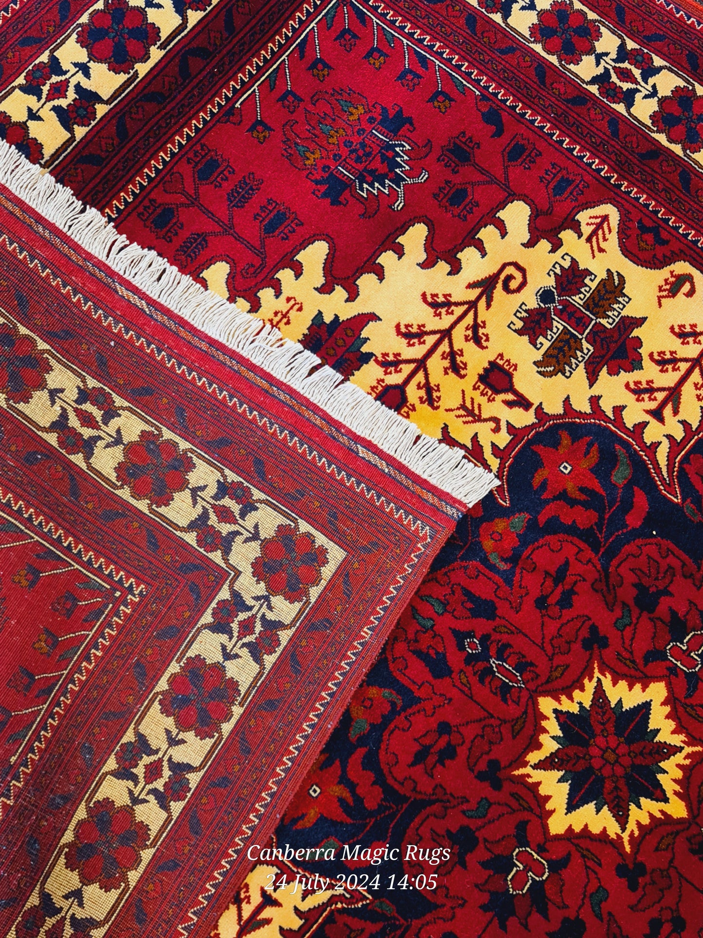 Beljik Wool Rug from North of Afghanistan (150 x 210 CM) | Authentic Wool Rugs Online – Magic Rugs