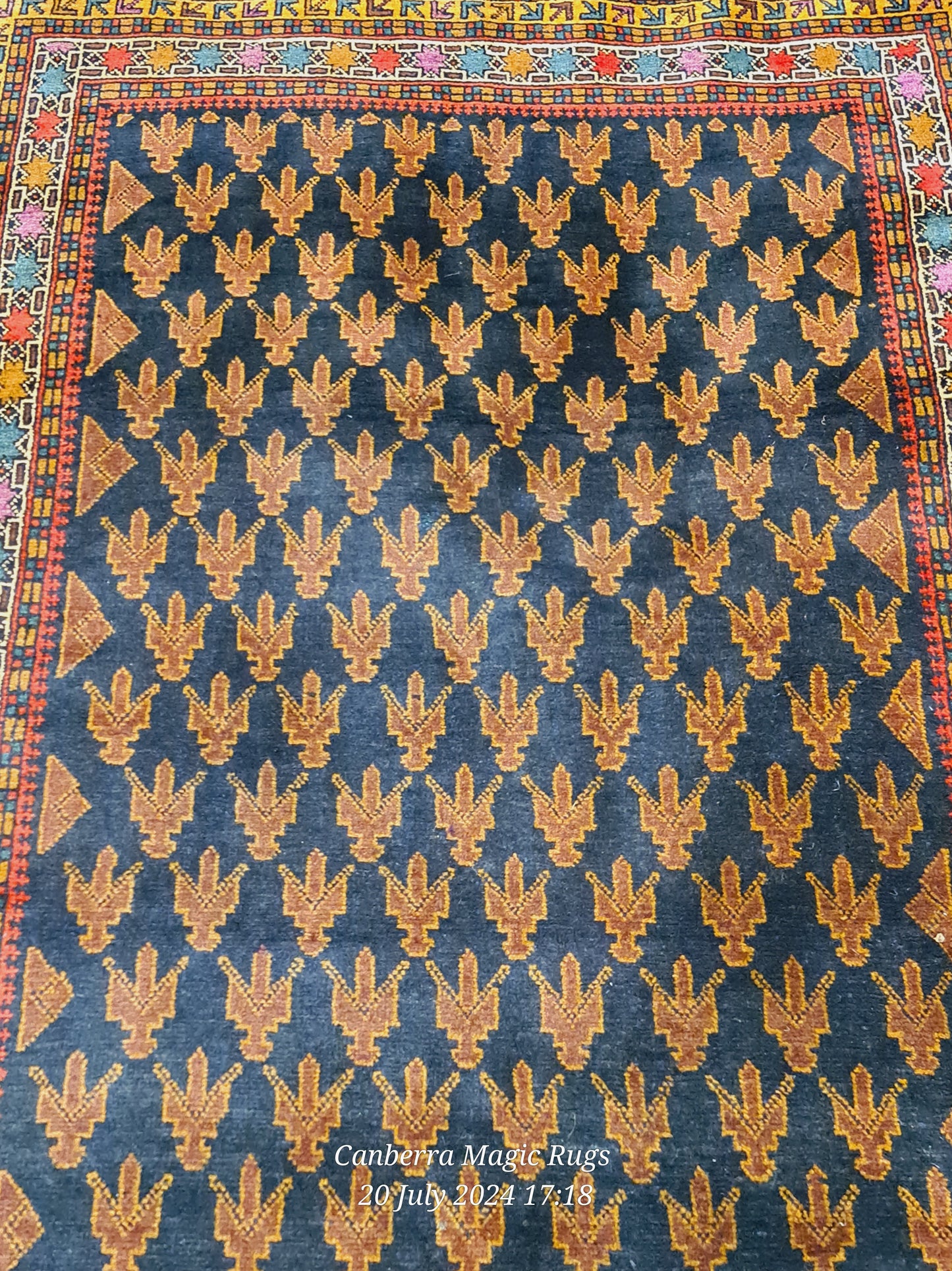 Baluchi Wool Rug Online