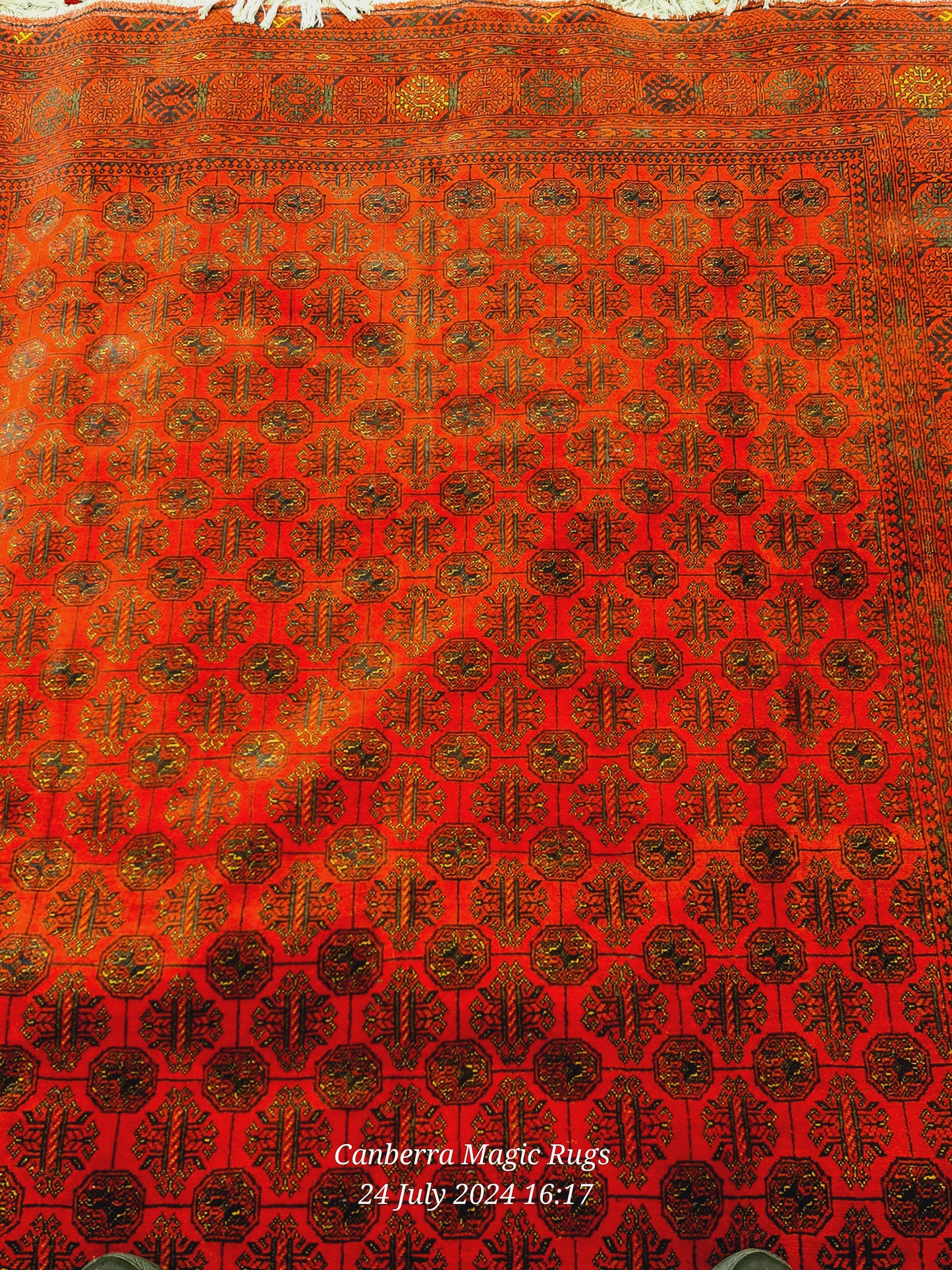 Medallion Design Traditional Rug Perfect for Contemporary & Classic Interiors (170 x 250 CM)