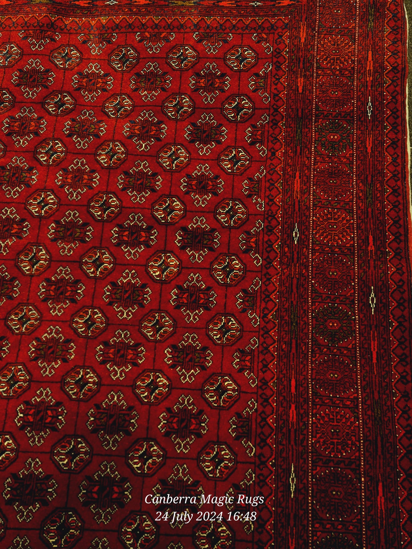 Bukhara Oriental Rug (165 X 255 CM) – Elegant Handmade Woven Rugs