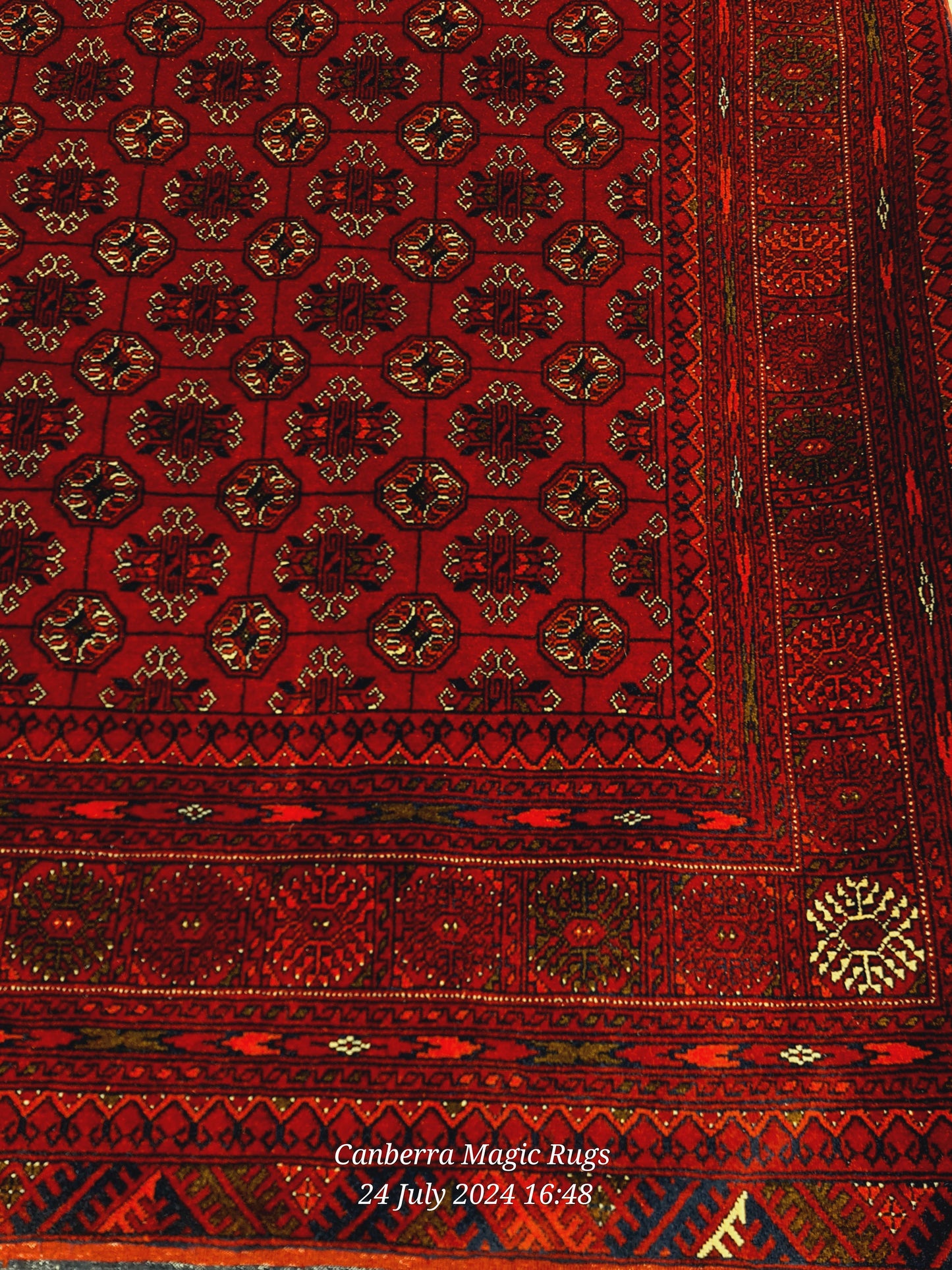 Bukhara Oriental Rug (165 X 255 CM) – Elegant Handmade Woven Rugs
