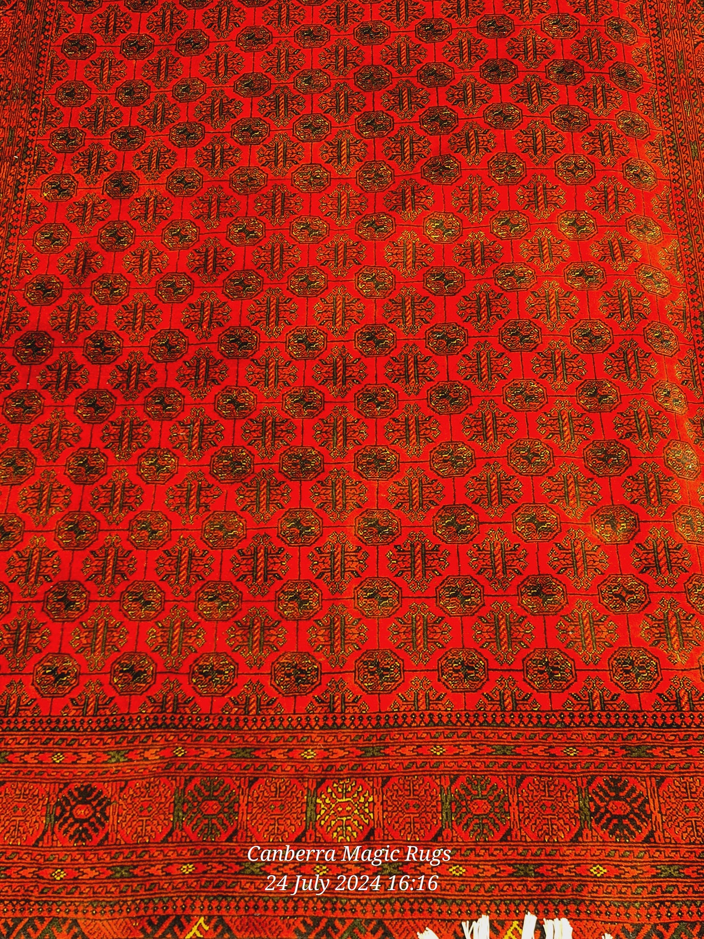 Medallion Design Traditional Rug Perfect for Contemporary & Classic Interiors (170 x 250 CM)