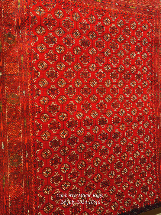 Bukhara Oriental Rug (165 X 255 CM) – Elegant Handmade Woven Rugs - /products/bukhara-handmade-woven-rugs-canberra-165-x-255-cm