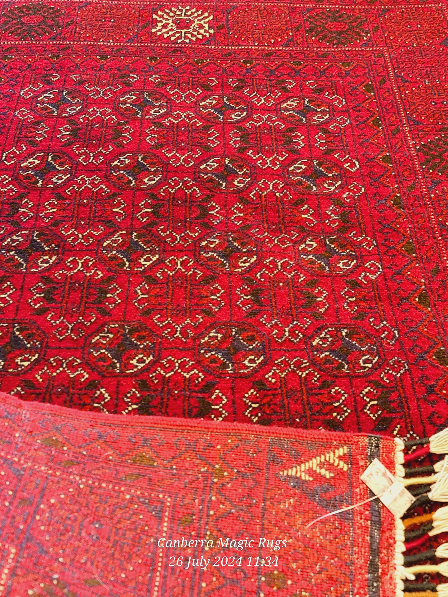 Original Hand knotted Bukhara Rug