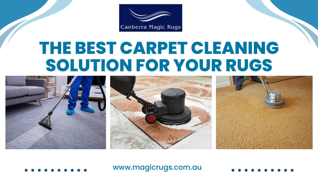 The Best Carpet Cleaning Solution for Your Rugs in Canberra