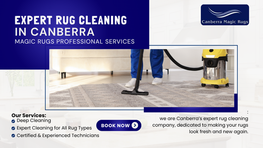 Expert Rug Cleaning in Canberra – Magic Rugs Professional Services