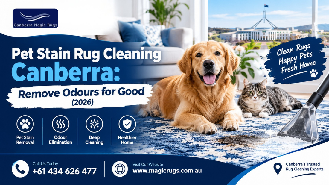 rug colour restoration Canberra