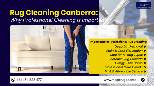Rug Cleaning Canberra: Why Professional Cleaning Is Important