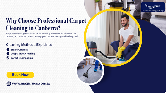 Why Choose Professional Carpet Cleaning in Canberra? | Magic Rugs Guide