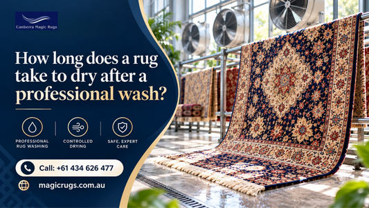 Rug Shrinkage After Cleaning: Causes & How to Prevent It?
