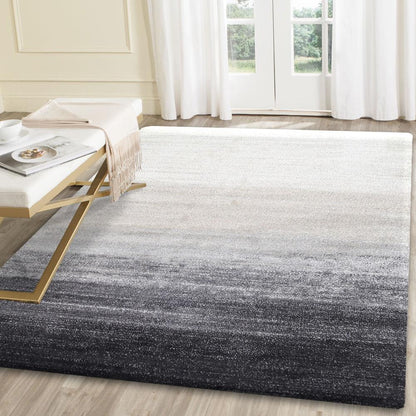 Matisse Grey Ombre Rug