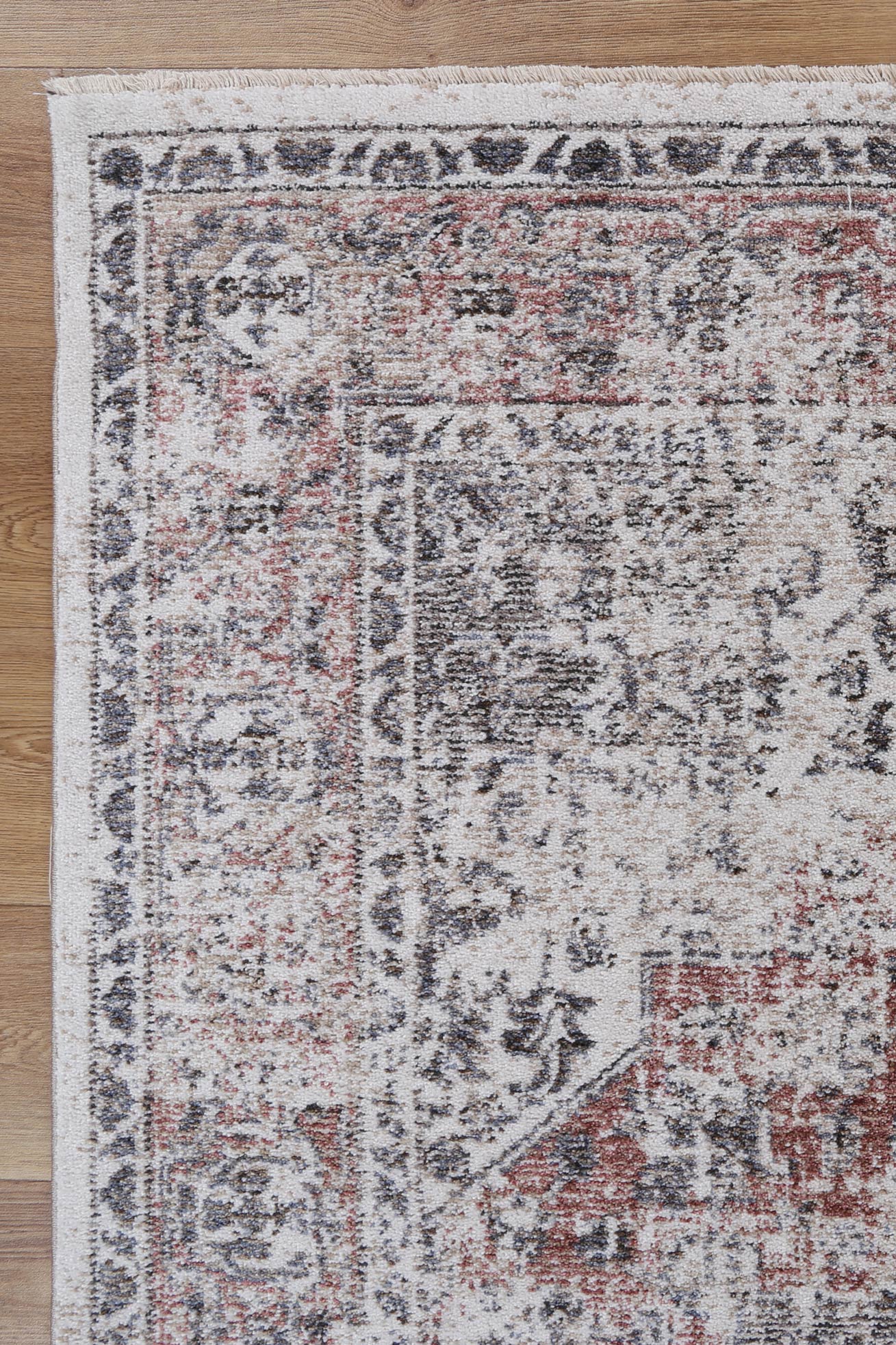 Melbourne Chintz Multi Traditional Soft Rug