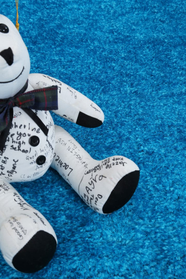 Perth Soft Shag Teal Rug