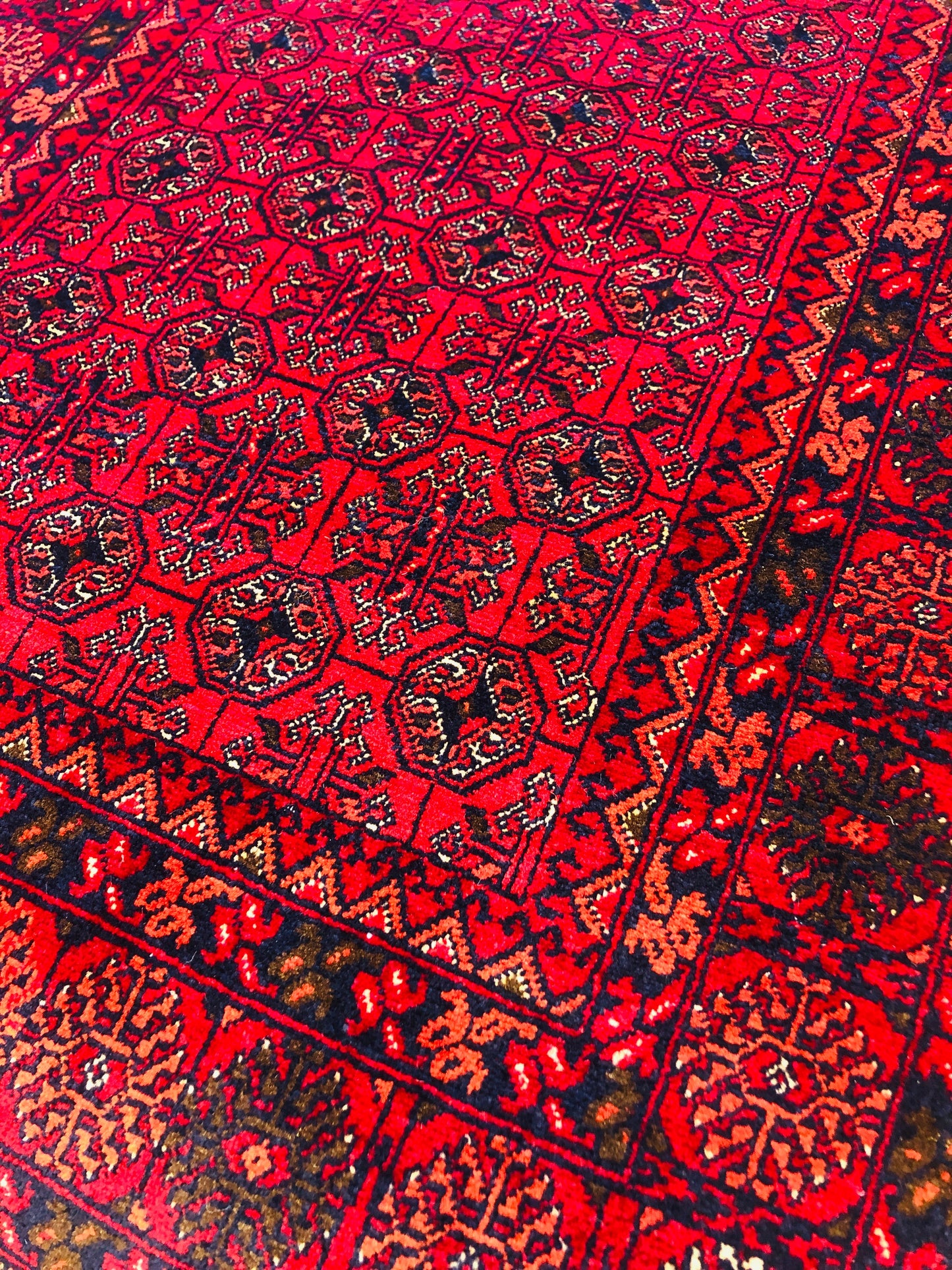 This beautiful and versatile Oriental rug will decorate your home