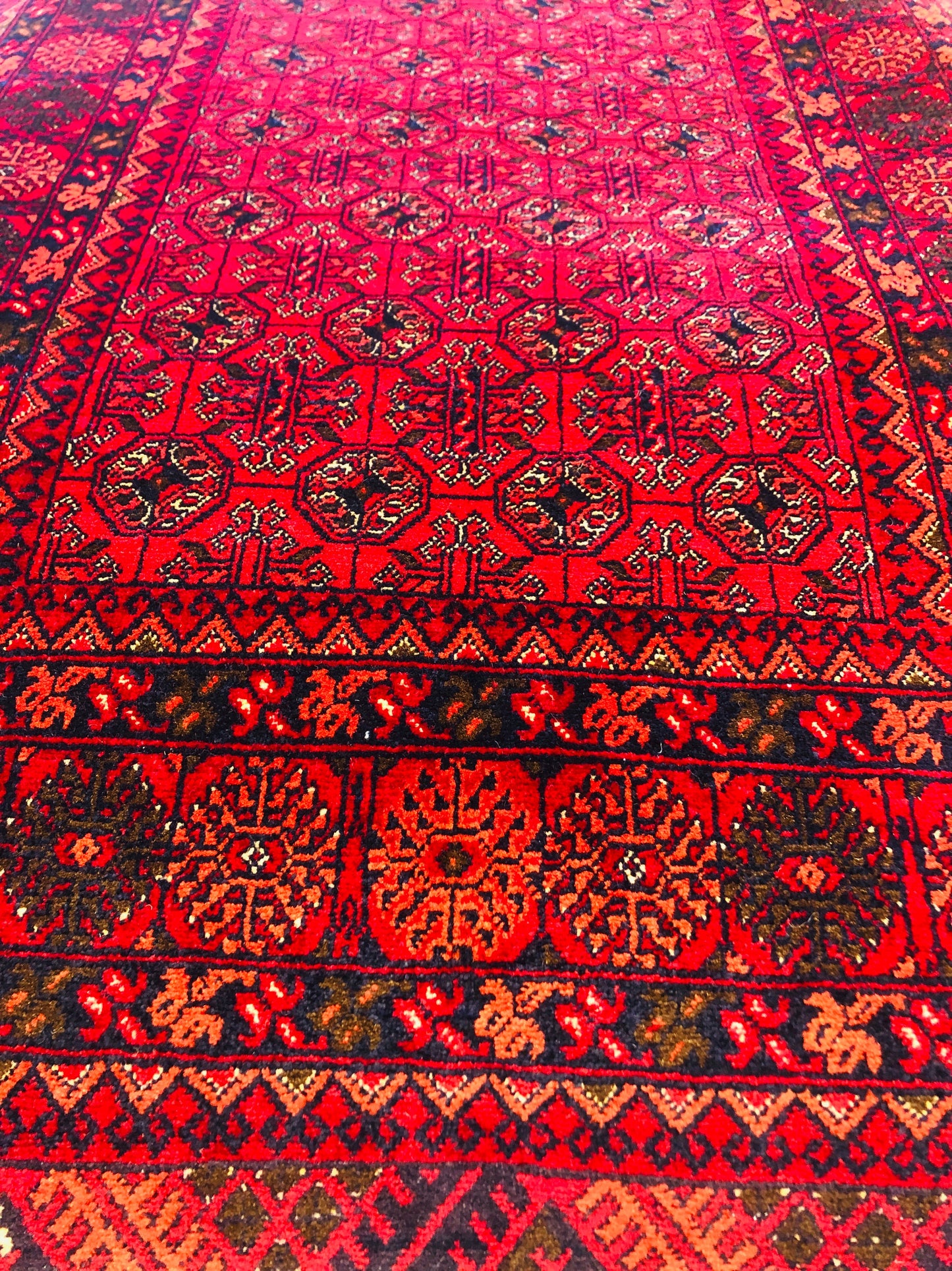 This beautiful and versatile Oriental rug will decorate your home