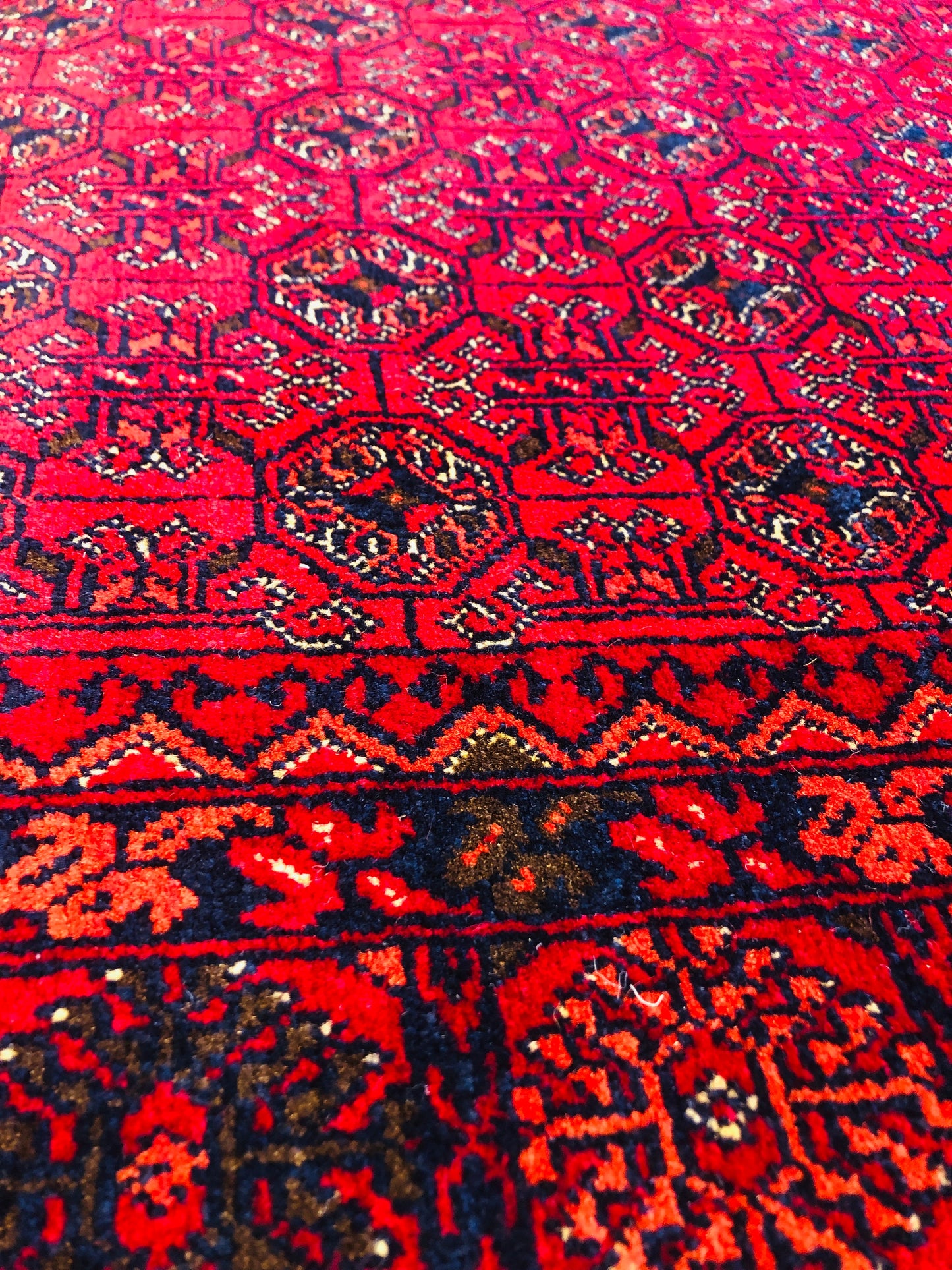 This beautiful and versatile Oriental rug will decorate your home