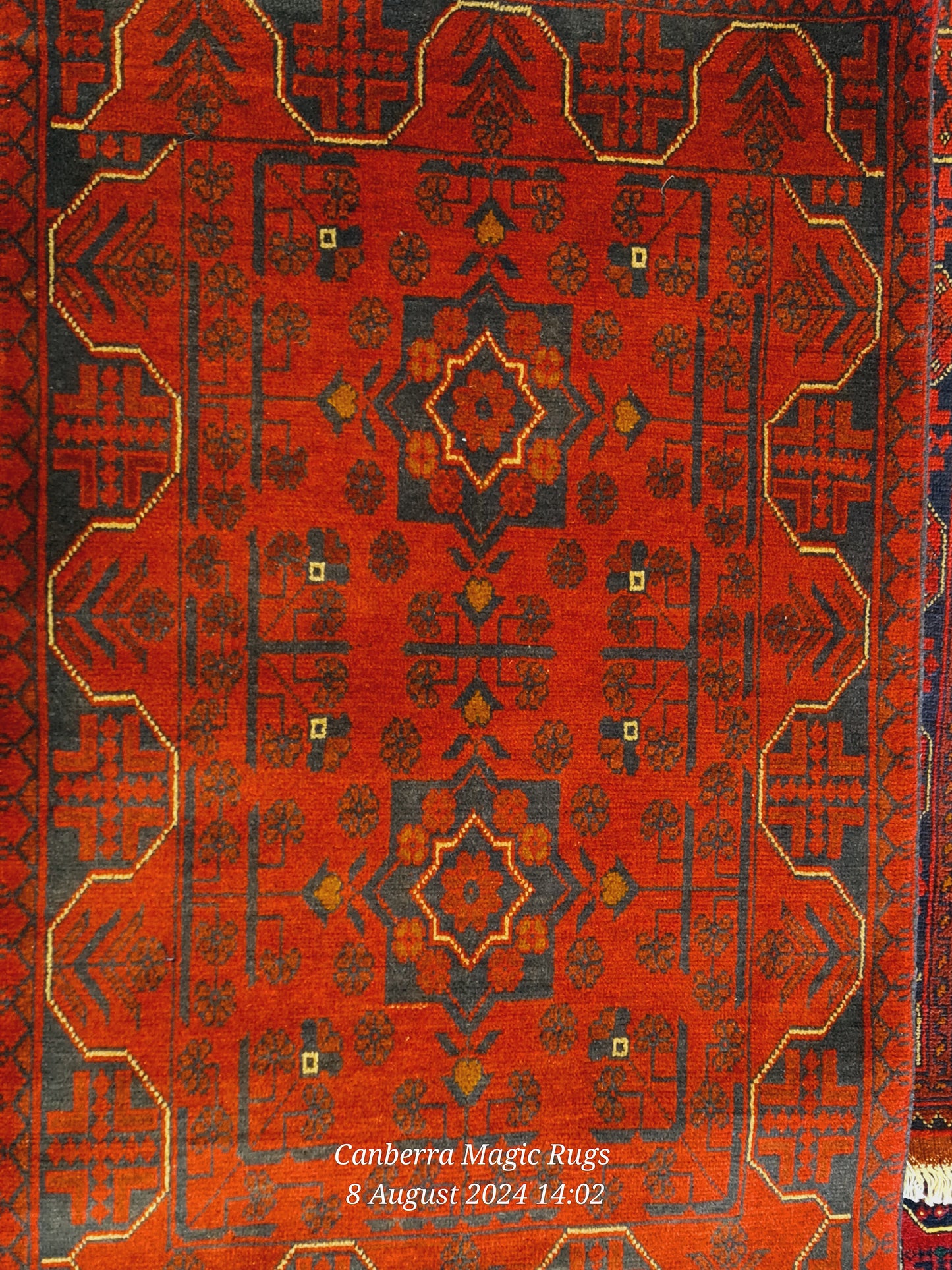 Khal Hand Knotted Rug