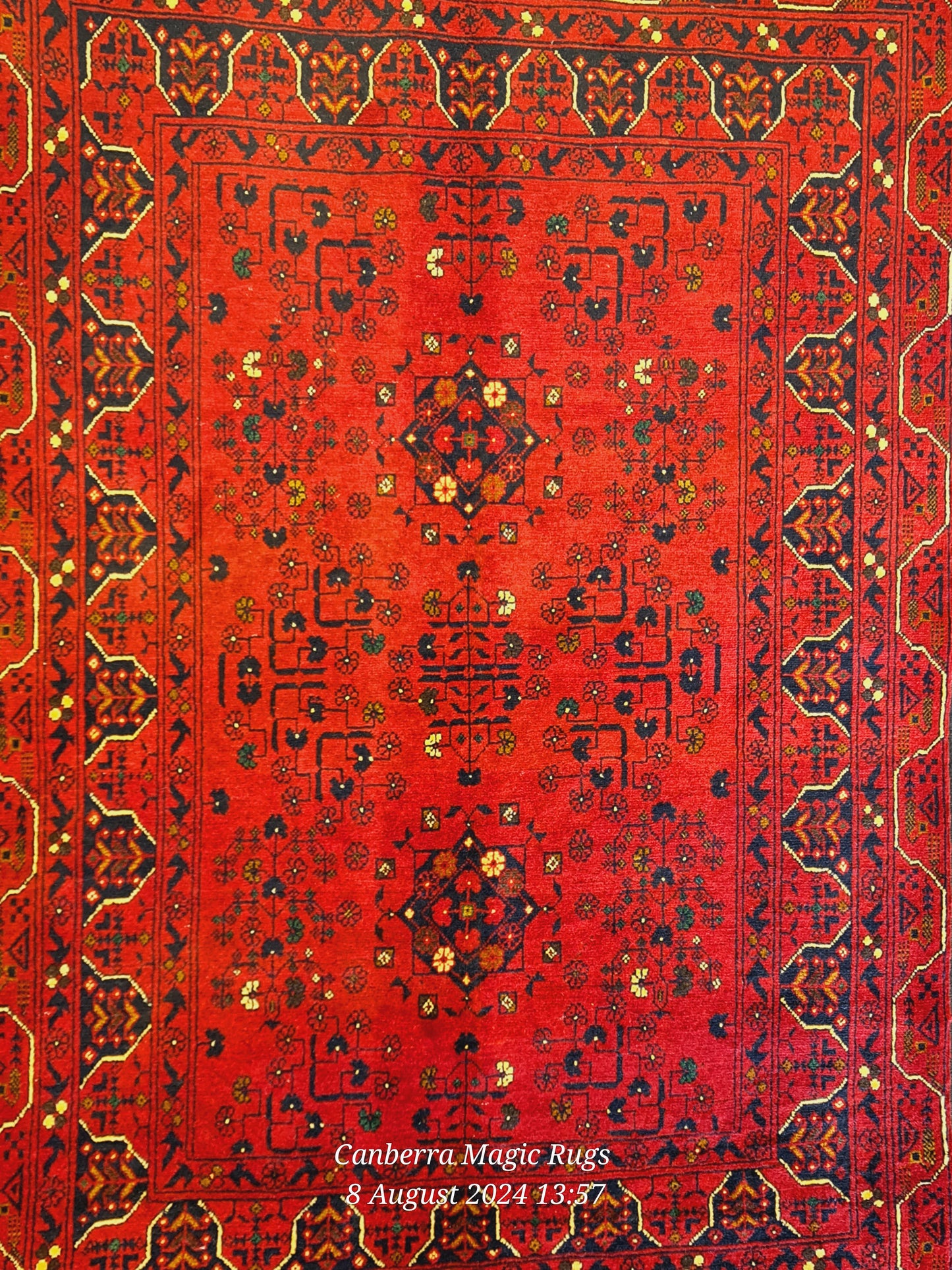 Fine Kundoz Hand Knotted Rug