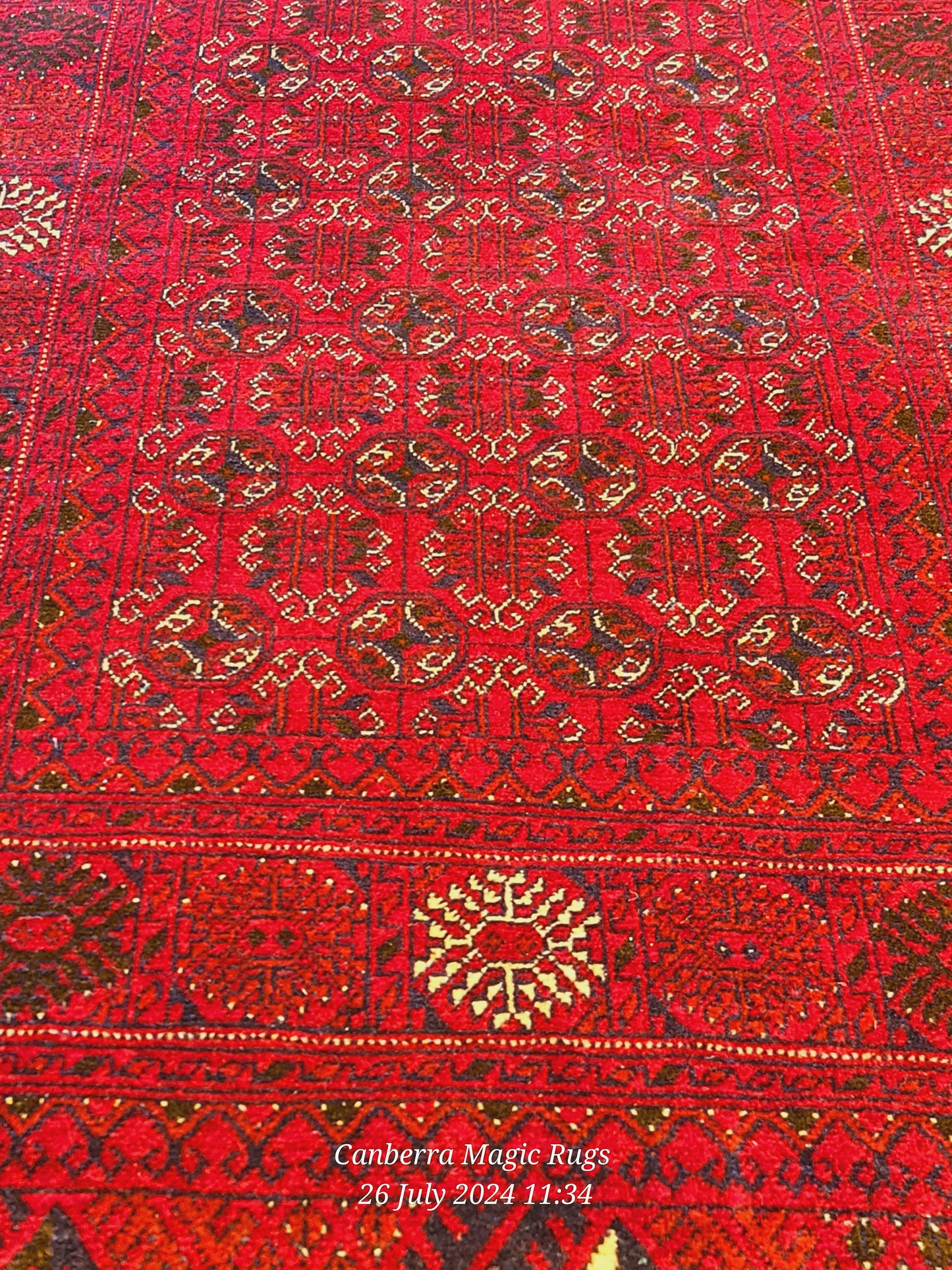 Original Hand knotted Bukhara Rug