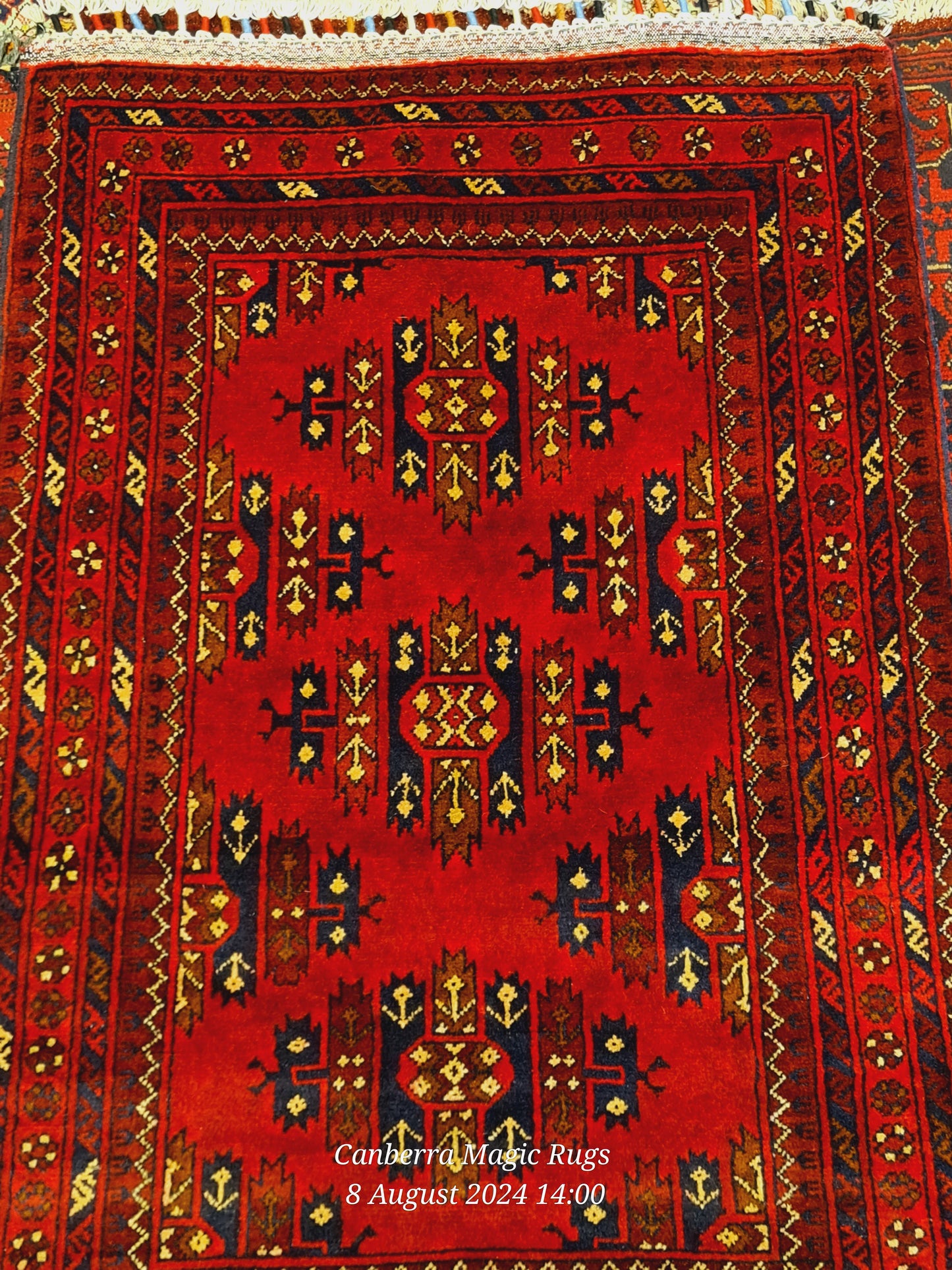 Hand Knotted Kundoz Rug