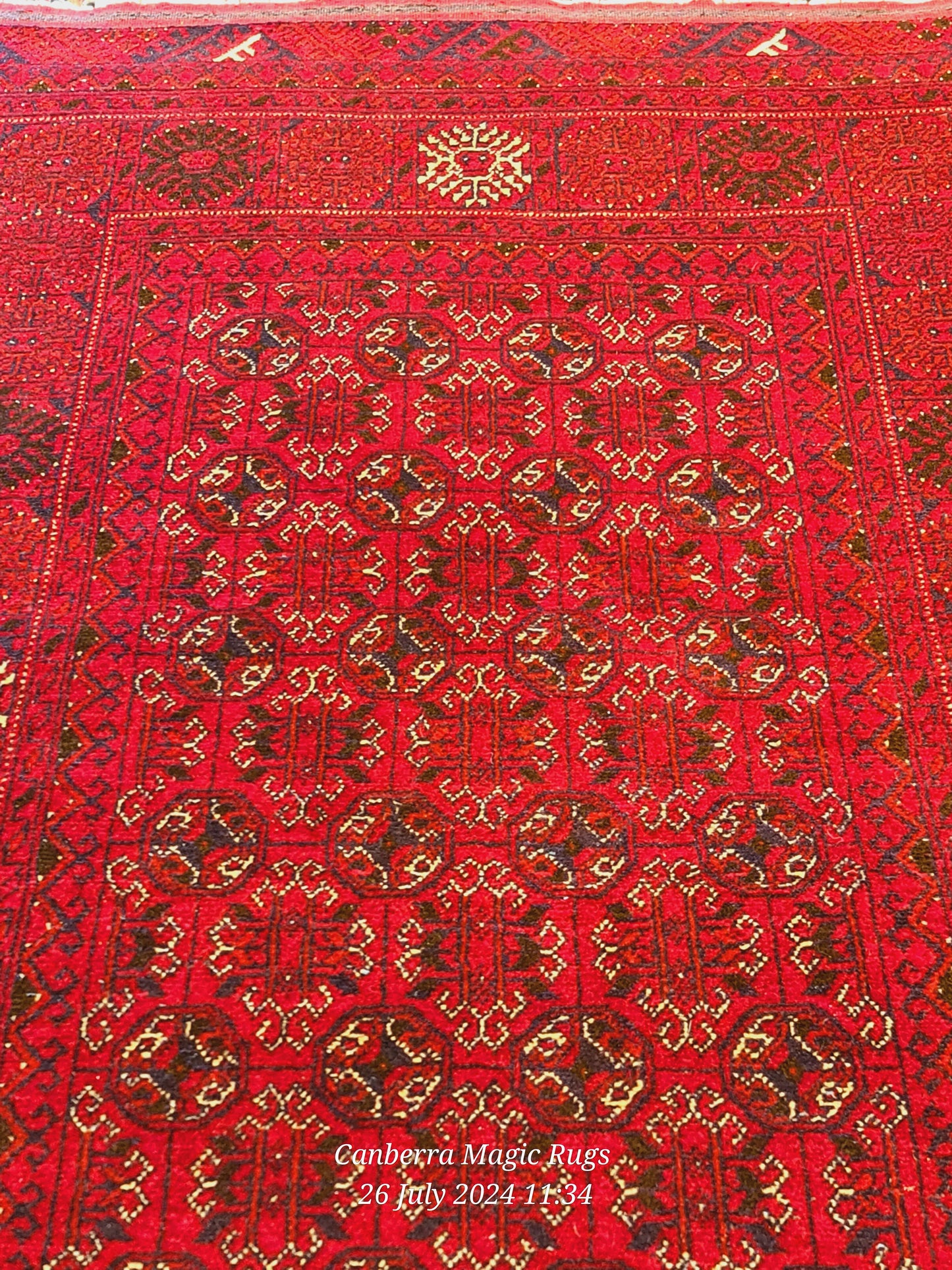 Original Hand knotted Bukhara Rug