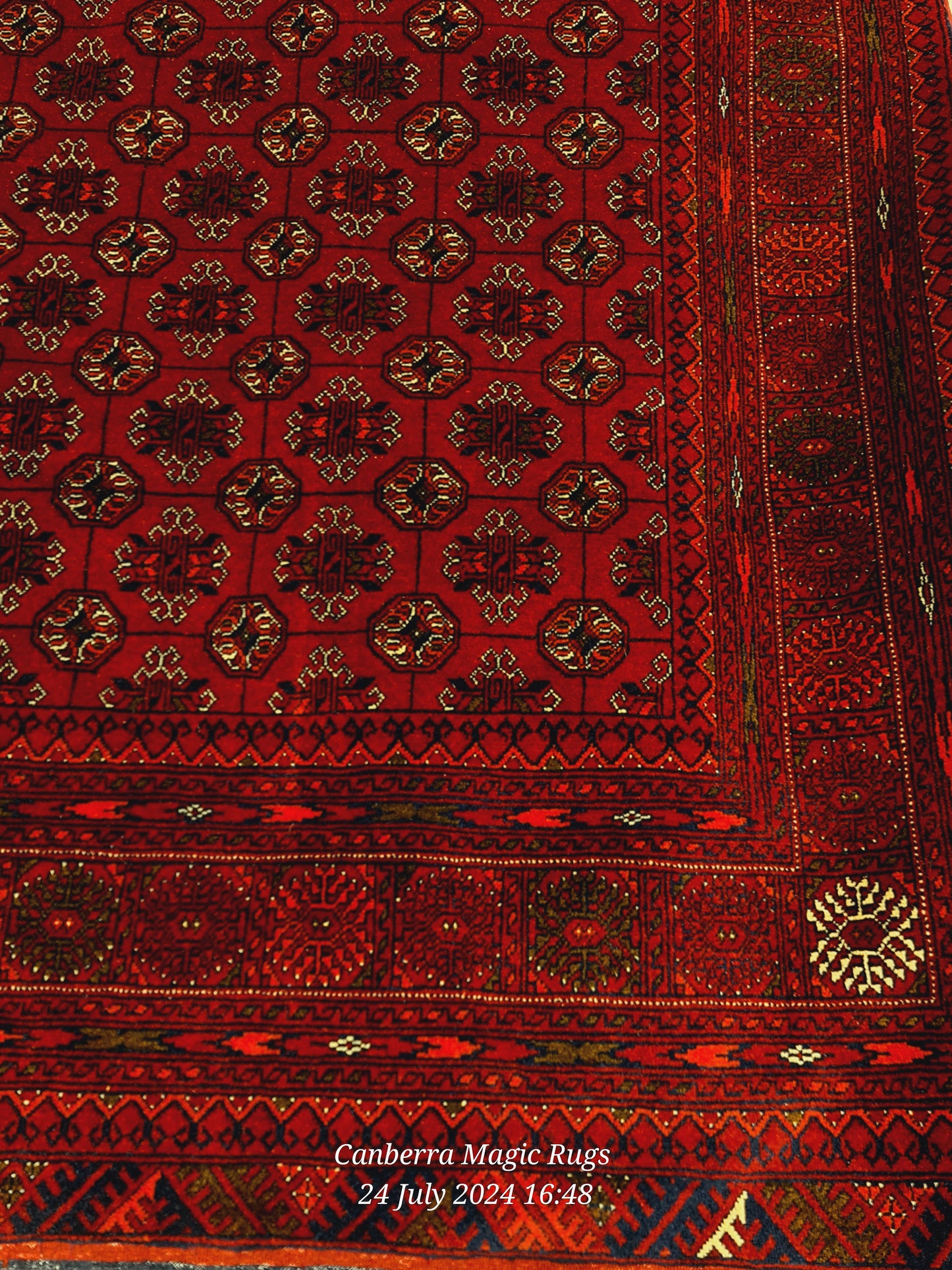 Bukhara Oriental rug