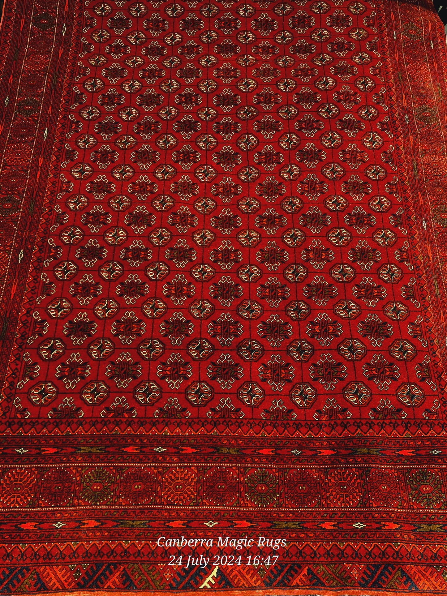 Bukhara Oriental rug