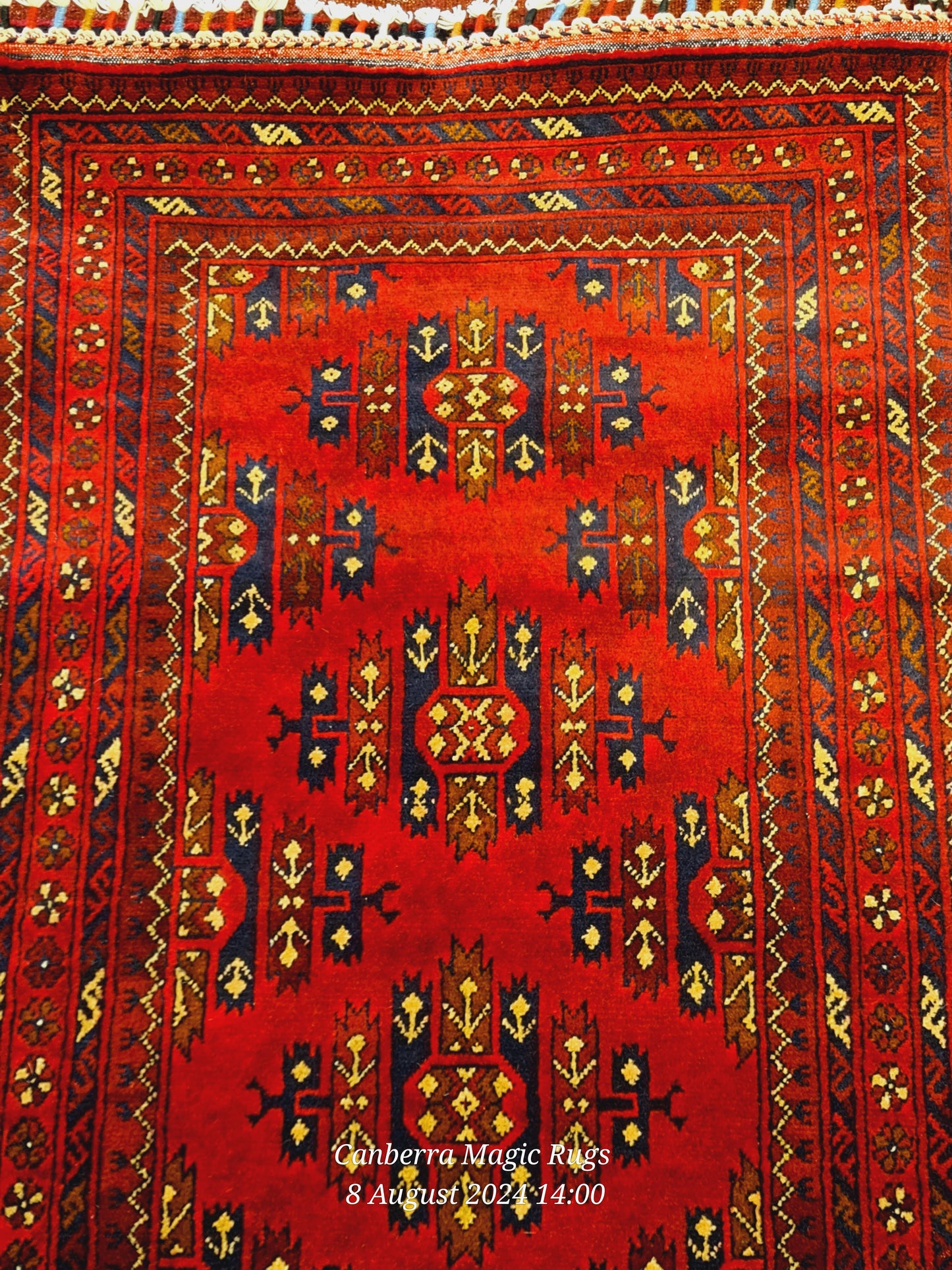 Hand Knotted Kundoz Rug